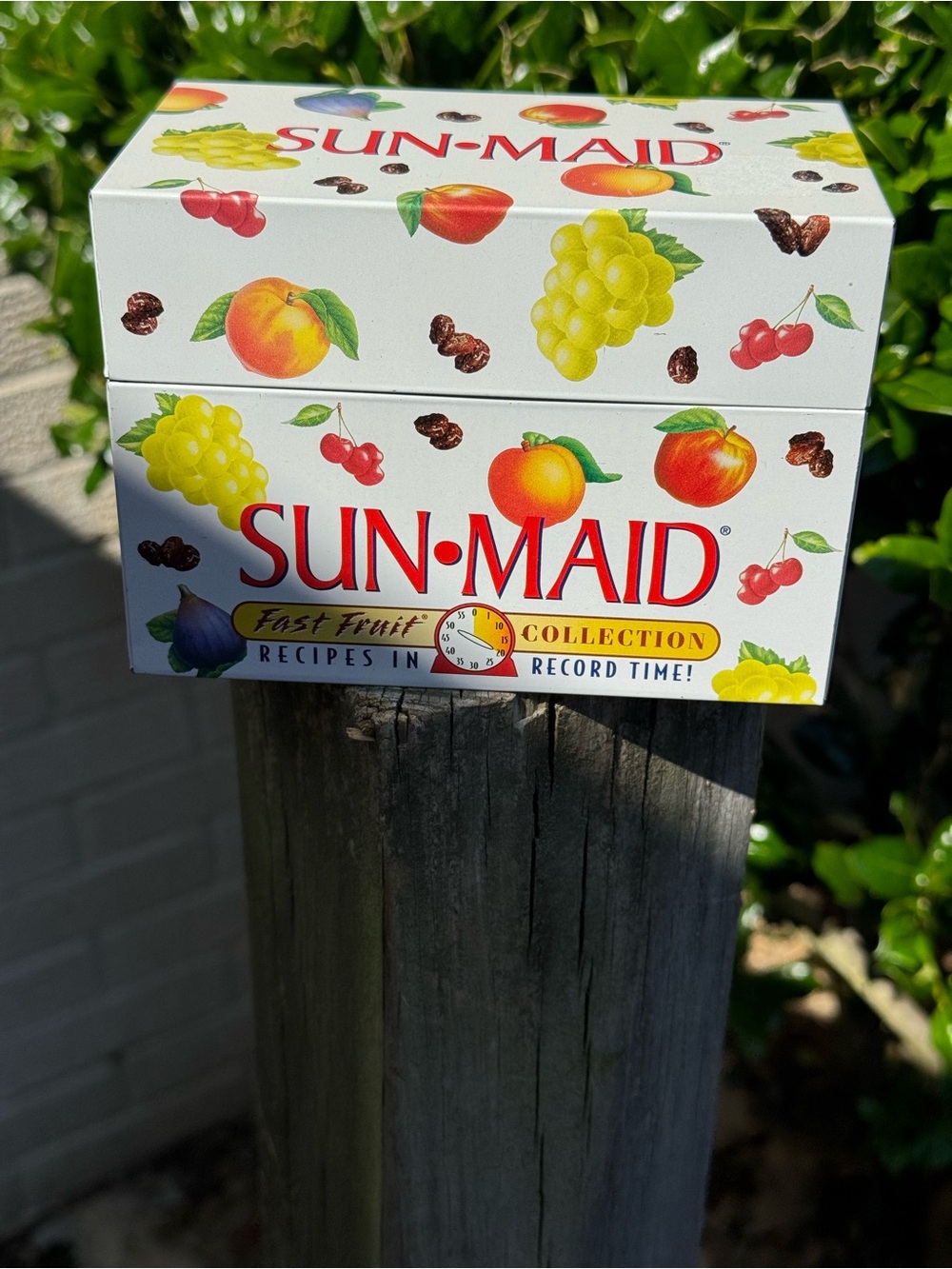 Sun-Maid Fast Fruit Collection Decorative Box - White with Fruit Prints